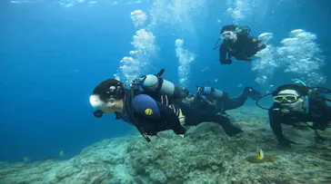 武藤潜水に投稿された画像（2023/10/27）