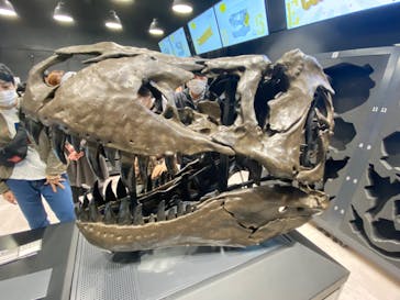 福井県立恐竜博物館に投稿された画像（2023/10/27）