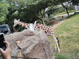 天王寺動物園に投稿された画像（2023/10/27）