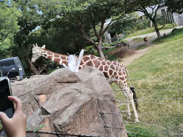 天王寺動物園に投稿された画像（2023/10/27）