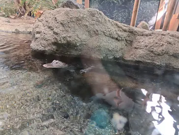 天王寺動物園に投稿された画像（2023/10/27）