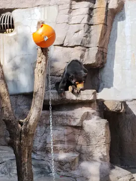 天王寺動物園に投稿された画像（2023/10/27）