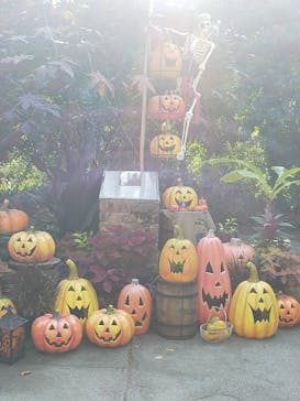 横浜イングリッシュガーデンに投稿された画像（2023/10/27）