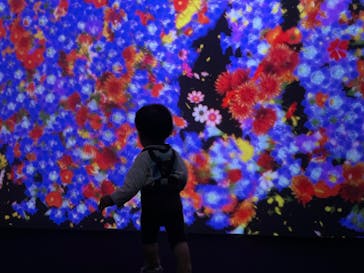 チームラボに投稿された画像（2023/10/27）