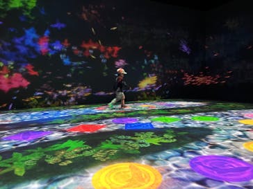 チームラボに投稿された画像（2023/10/27）