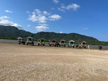 西表島 ADVENTURE PiPi（アドベンチャーピピ）に投稿された画像（2023/10/27）