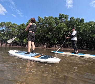 西表島 ADVENTURE PiPi（アドベンチャーピピ）に投稿された画像（2023/10/27）