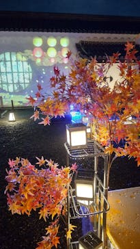 NAKED meets 二条城 2025 観月に投稿された画像（2023/10/27）