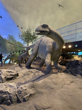 福井県立恐竜博物館に投稿された画像（2023/10/27）