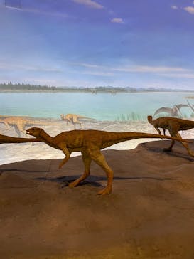 福井県立恐竜博物館に投稿された画像（2023/10/27）