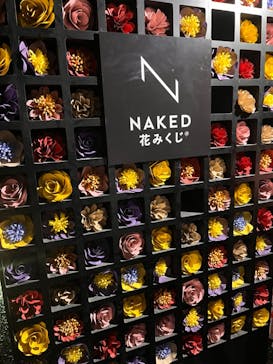 NAKED meets 二条城 2025 観月に投稿された画像（2023/10/27）