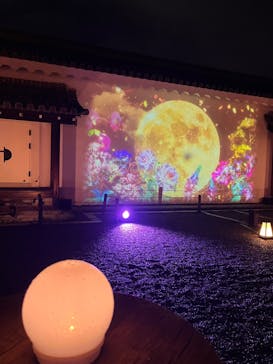 NAKED meets 二条城 2025 観月に投稿された画像（2023/10/27）