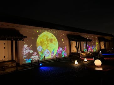 NAKED meets 二条城 2025 観月に投稿された画像（2023/10/27）