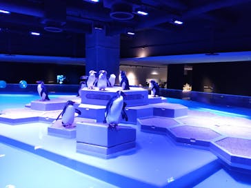 AOAO SAPPOROに投稿された画像（2023/10/28）