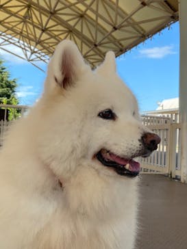 那須どうぶつ王国に投稿された画像（2023/9/3）