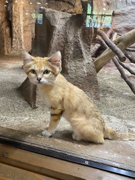 那須どうぶつ王国に投稿された画像（2023/9/3）