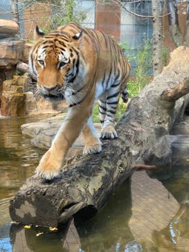 那須どうぶつ王国に投稿された画像（2023/9/3）