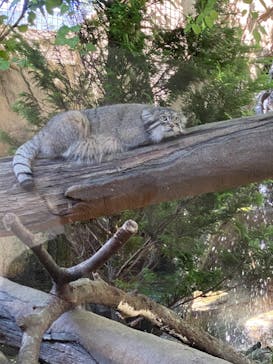 那須どうぶつ王国に投稿された画像（2023/9/3）