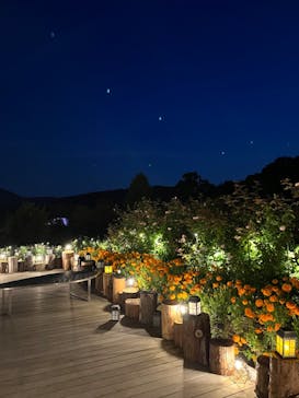 いばらきフラワーパークに投稿された画像（2023/10/28）