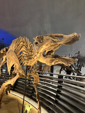 福井県立恐竜博物館に投稿された画像（2023/10/28）