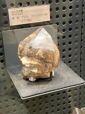 福井県立恐竜博物館に投稿された画像（2023/10/28）