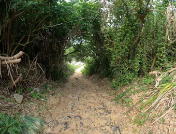 武藤潜水に投稿された画像（2023/10/28）