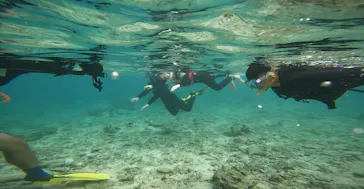 武藤潜水に投稿された画像（2023/10/28）