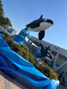 鴨川シーワールドに投稿された画像（2023/10/28）