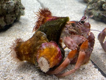 AOAO SAPPOROに投稿された画像（2023/10/28）