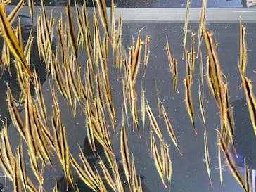 AOAO SAPPOROに投稿された画像（2023/10/28）