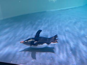 AOAO SAPPOROに投稿された画像（2023/10/28）