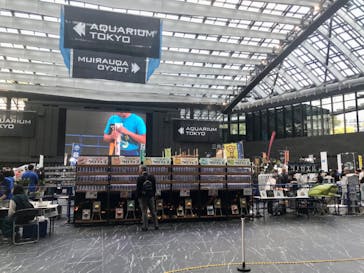 アクアリウム東京に投稿された画像（2023/10/28）