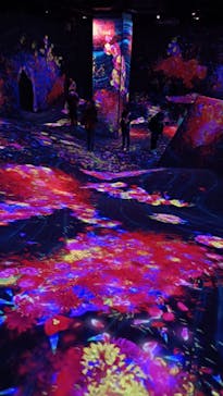 チームラボフォレスト 福岡 - SBI証券に投稿された画像（2023/10/28）