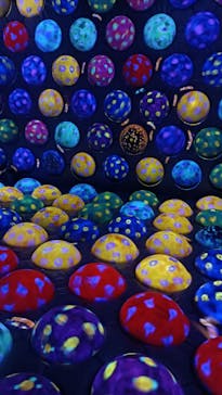 チームラボフォレスト 福岡 - SBI証券に投稿された画像（2023/10/28）