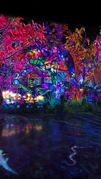 チームラボフォレスト 福岡 - SBI証券に投稿された画像（2023/10/28）