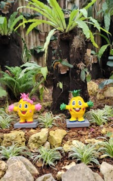 ナゴパイナップルパークに投稿された画像（2023/10/28）