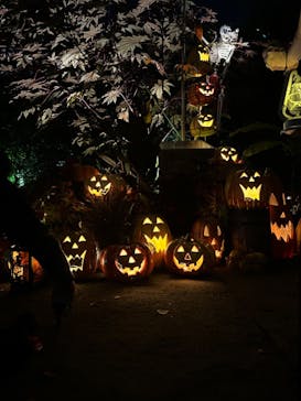 横浜イングリッシュガーデンに投稿された画像（2023/10/28）