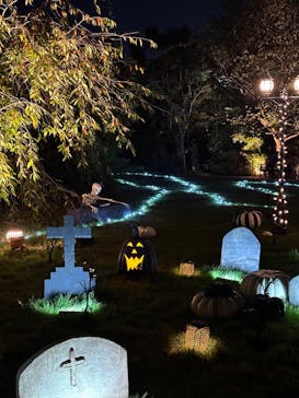 横浜イングリッシュガーデンに投稿された画像（2023/10/28）