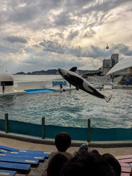 鴨川シーワールドに投稿された画像（2023/10/28）