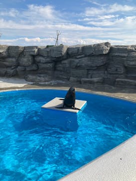 鴨川シーワールドに投稿された画像（2023/10/28）