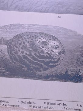 アクアワールド茨城県大洗水族館に投稿された画像（2023/10/28）