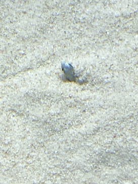 アクアワールド茨城県大洗水族館に投稿された画像（2023/10/28）