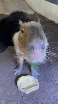 マクセル アクアパーク品川に投稿された画像（2023/10/28）