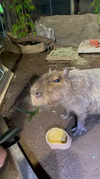 マクセル アクアパーク品川に投稿された画像（2023/10/28）