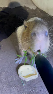 マクセル アクアパーク品川に投稿された画像（2023/10/28）