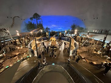 福井県立恐竜博物館に投稿された画像（2023/10/28）