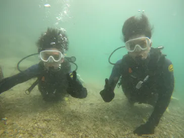 武藤潜水に投稿された画像（2023/10/28）