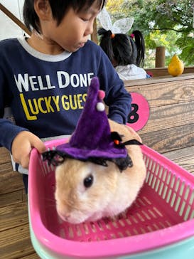 伊香保グリーン牧場に投稿された画像（2023/10/28）