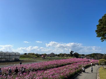 淡路ファームパーク イングランドの丘に投稿された画像（2023/10/28）