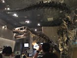国立科学博物館に投稿された画像（2023/10/28）